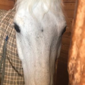 Meet your Posher, Traci